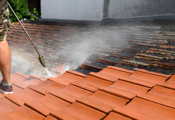 Best Pressure Washing Near Me  in North Randall, OH